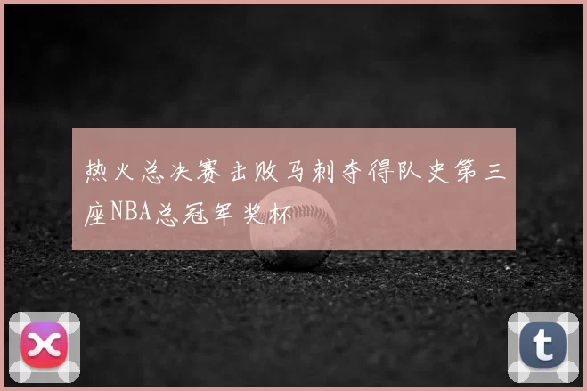 热火总决赛击败马刺夺得队史第三座NBA总冠军奖杯