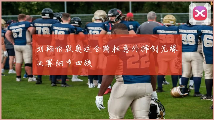 刘翔伦敦奥运会跨栏意外摔倒无缘决赛细节回顾