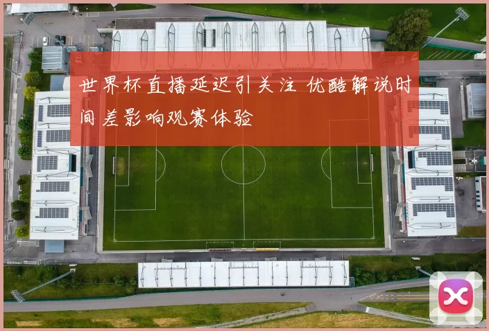 世界杯直播延迟引关注 优酷解说时间差影响观赛体验